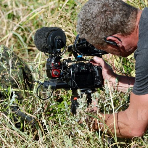 © Valérie Koch - Reproduction interdite / Tous droits réservés