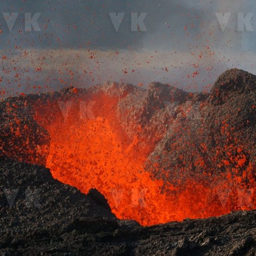 © Valérie Koch - Reproduction interdite / Tous droits réservés