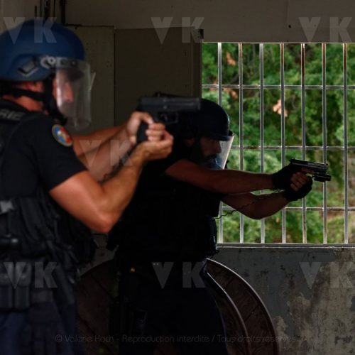 © Valérie Koch - Reproduction interdite / Tous droits réservés