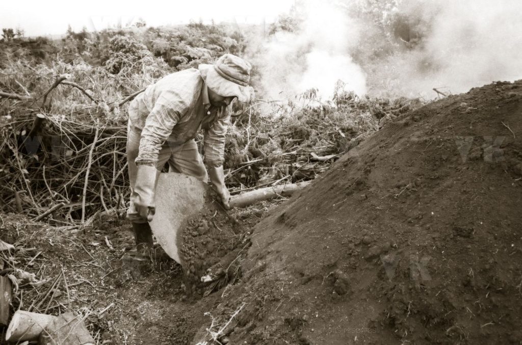 © Valérie Koch - Reproduction interdite / Tous droits réservés